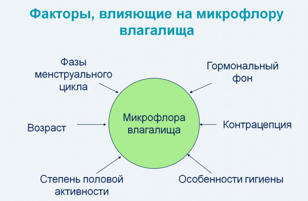 анализ мазка на флору расшифровка норма